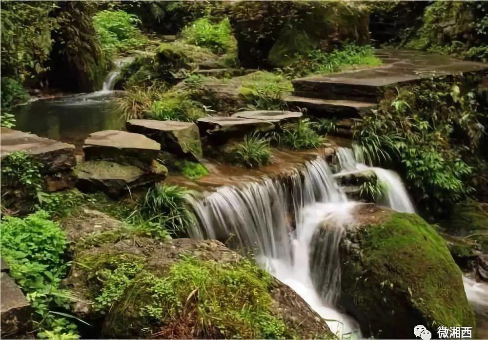 虫虫助手下载